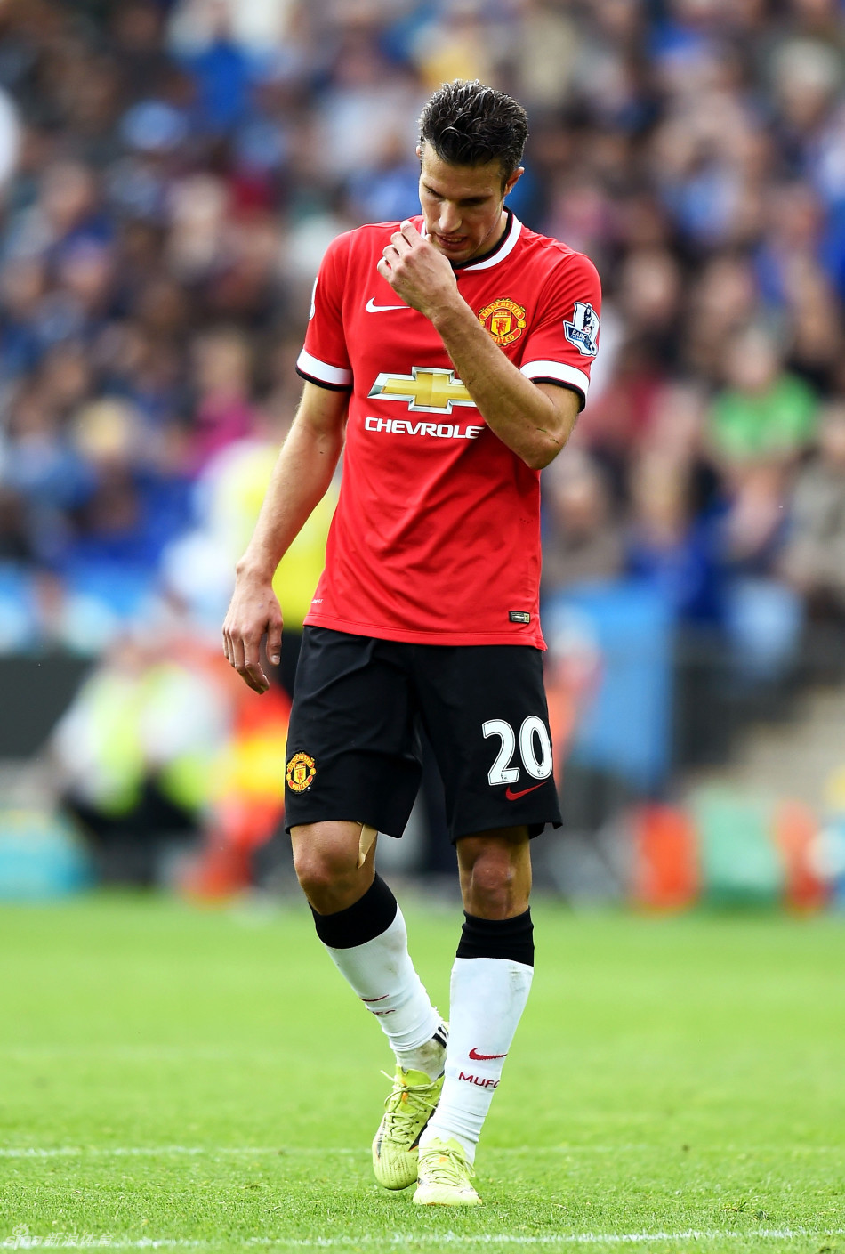 《赛马娘》全新企划《宇宙走娘：コスモピュエラ》